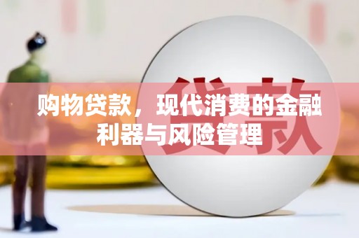 南湖购物贷款，现代消费的金融利器与风险管理