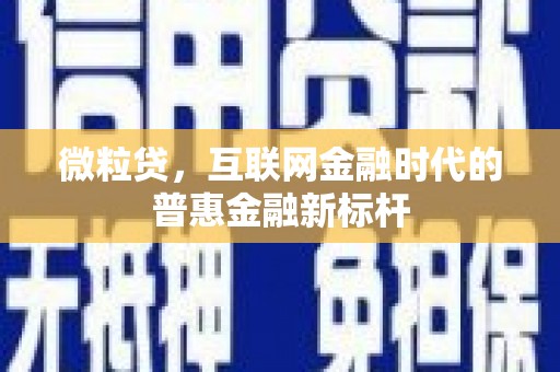 南湖微粒贷，互联网金融时代的普惠金融新标杆