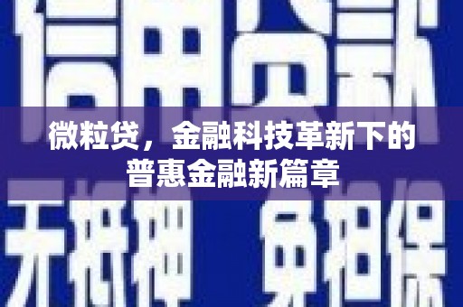 南湖微粒贷，金融科技革新下的普惠金融新篇章