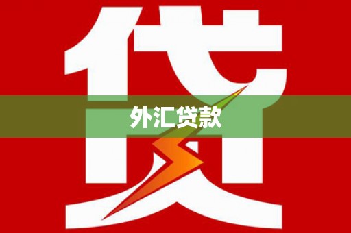 南湖外汇贷款