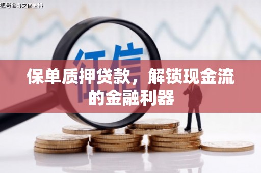 南湖保单质押贷款，解锁现金流的金融利器