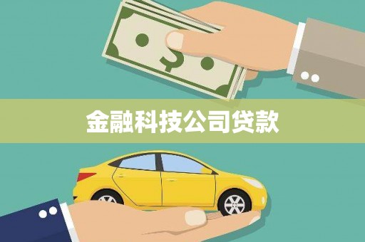 南湖金融科技公司贷款