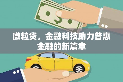 南湖微粒贷，金融科技助力普惠金融的新篇章