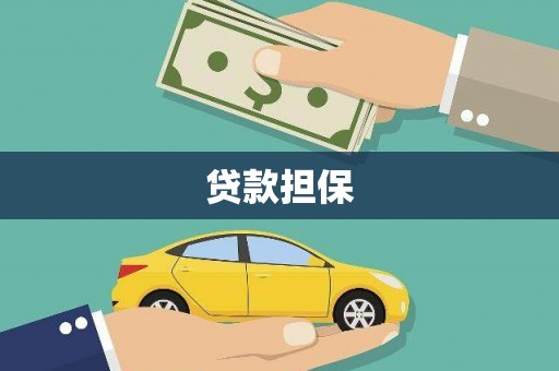 南湖贷款担保