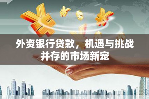 南湖外资银行贷款，机遇与挑战并存的市场新宠