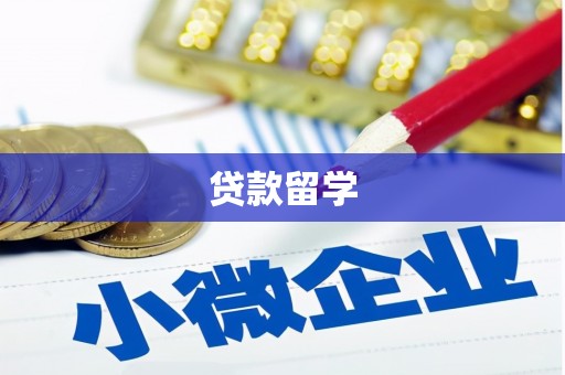 南湖贷款留学