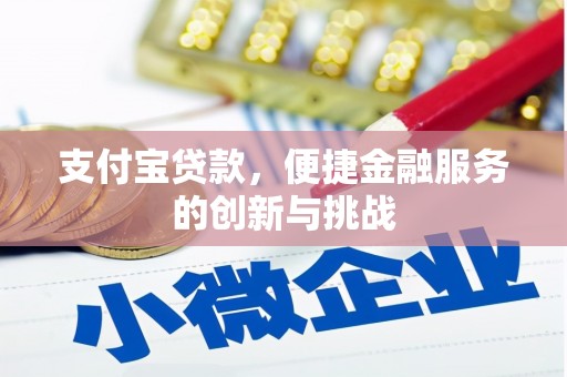 南湖支付宝贷款，便捷金融服务的创新与挑战