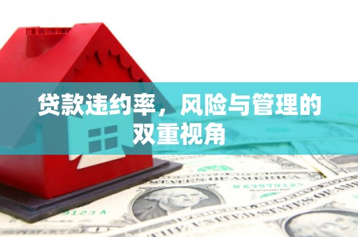 南湖贷款违约率，风险与管理的双重视角