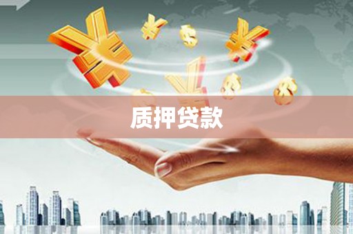 南湖质押贷款