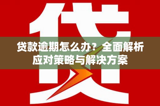 南湖贷款逾期怎么办？全面解析应对策略与解决方案