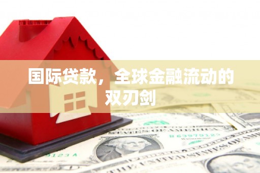 南湖国际贷款，全球金融流动的双刃剑