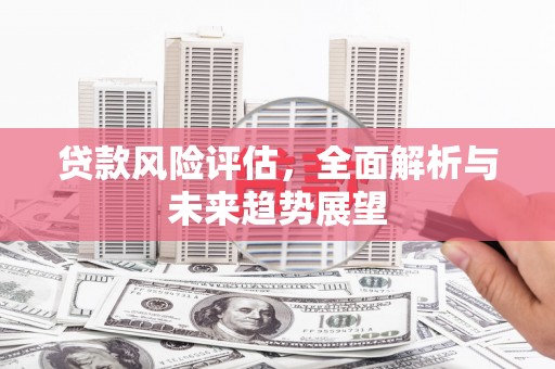 南湖贷款风险评估，全面解析与未来趋势展望