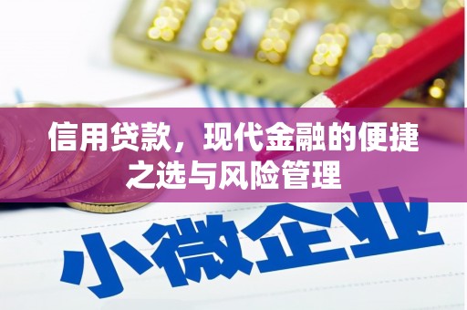 南湖信用贷款，现代金融的便捷之选与风险管理