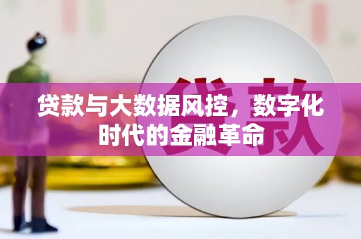 南湖贷款与大数据风控，数字化时代的金融革命