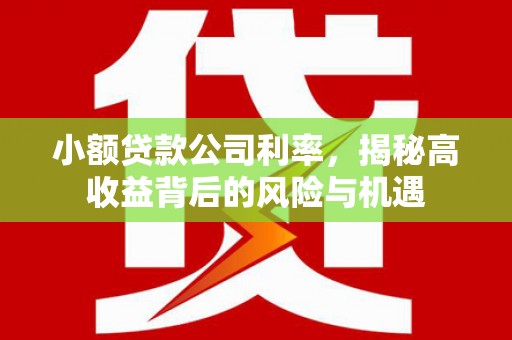 南湖小额贷款公司利率，揭秘高收益背后的风险与机遇
