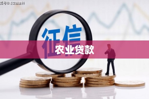 南湖农业贷款