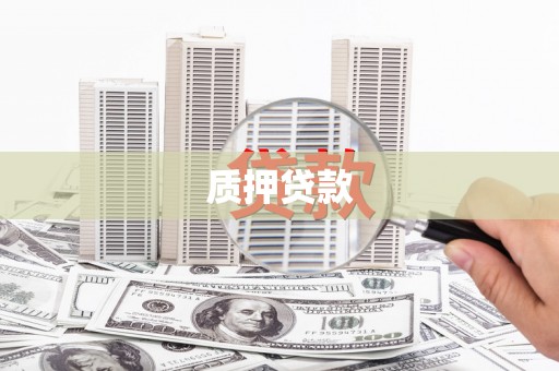 南湖质押贷款