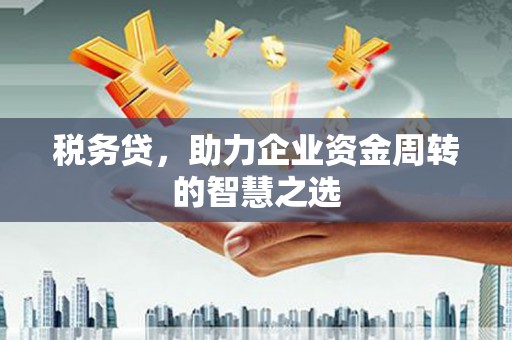 南湖税务贷，助力企业资金周转的智慧之选