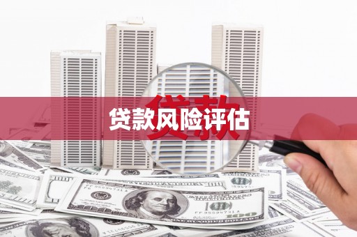南湖贷款风险评估