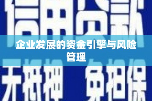 南湖企业发展的资金引擎与风险管理