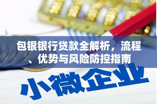 南湖包银银行贷款全解析，流程、优势与风险防控指南
