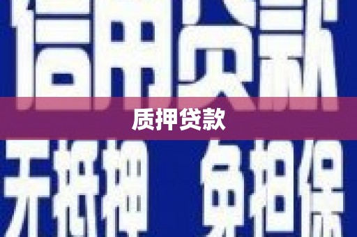 南湖质押贷款