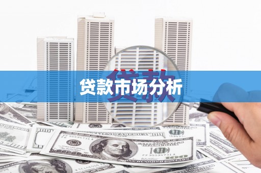 南湖贷款市场分析