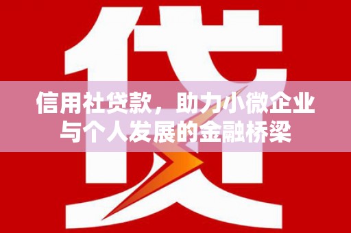 南湖信用社贷款，助力小微企业与个人发展的金融桥梁