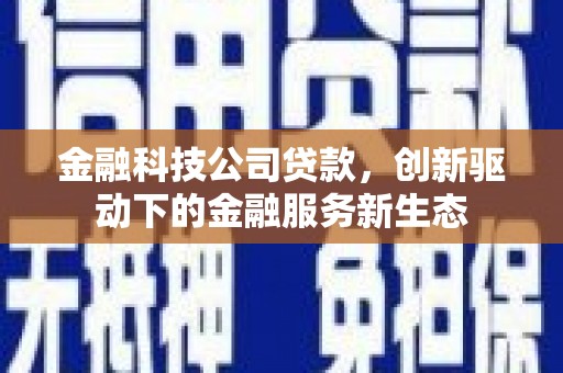 南湖金融科技公司贷款，创新驱动下的金融服务新生态