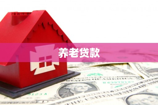 南湖养老贷款