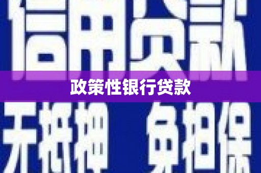 南湖政策性银行贷款