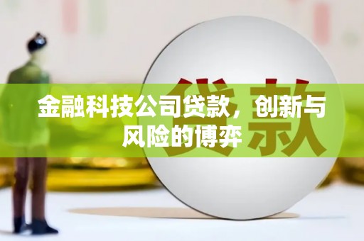 南湖金融科技公司贷款，创新与风险的博弈