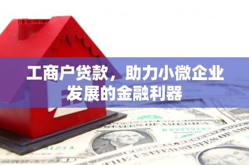 南湖工商户贷款，助力小微企业发展的金融利器