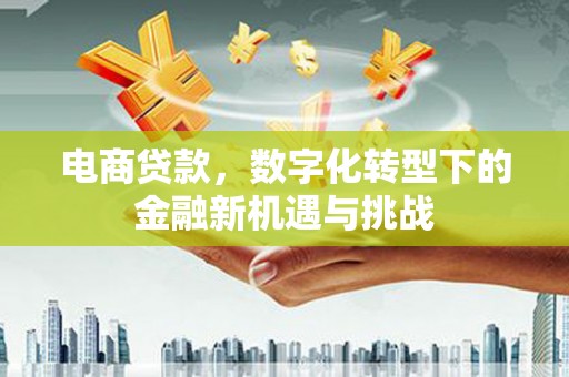 南湖电商贷款，数字化转型下的金融新机遇与挑战