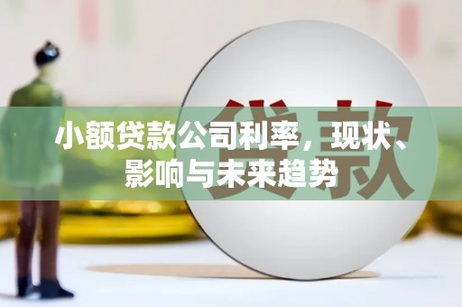 南湖小额贷款公司利率，现状、影响与未来趋势