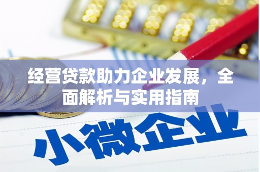南湖经营贷款助力企业发展，全面解析与实用指南
