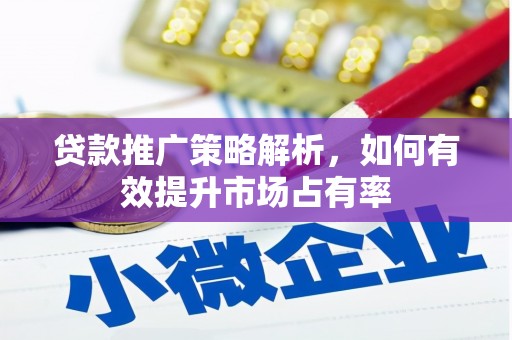 南湖贷款推广策略解析，如何有效提升市场占有率