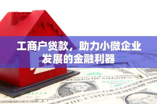 南湖工商户贷款，助力小微企业发展的金融利器