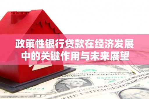 南湖政策性银行贷款在经济发展中的关键作用与未来展望