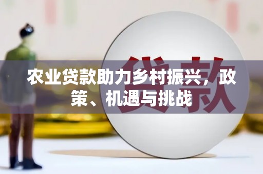 南湖农业贷款助力乡村振兴，政策、机遇与挑战