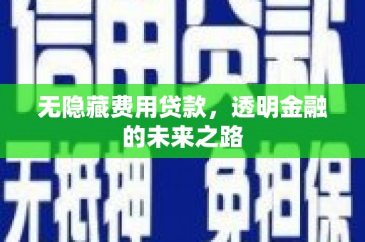 南湖无隐藏费用贷款，透明金融的未来之路