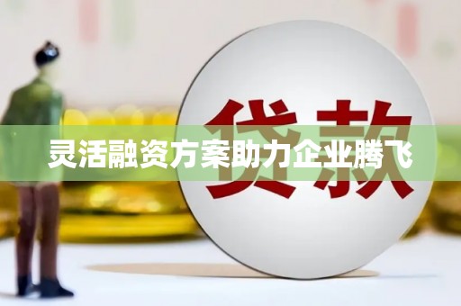 南湖灵活融资方案助力企业腾飞