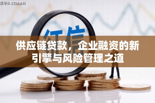 南湖供应链贷款，企业融资的新引擎与风险管理之道