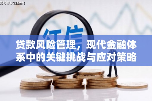 南湖贷款风险管理，现代金融体系中的关键挑战与应对策略