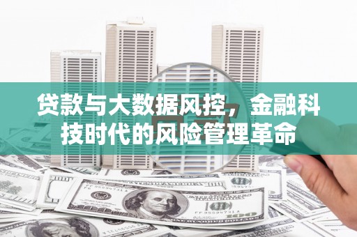 南湖贷款与大数据风控，金融科技时代的风险管理革命