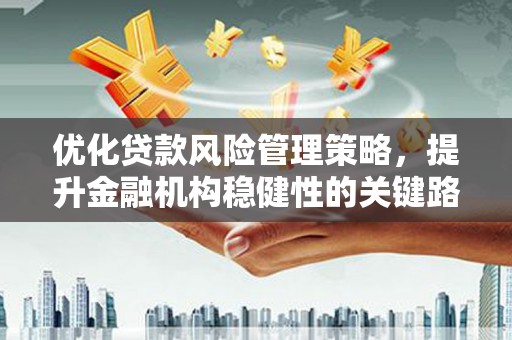 南湖优化贷款风险管理策略，提升金融机构稳健性的关键路径