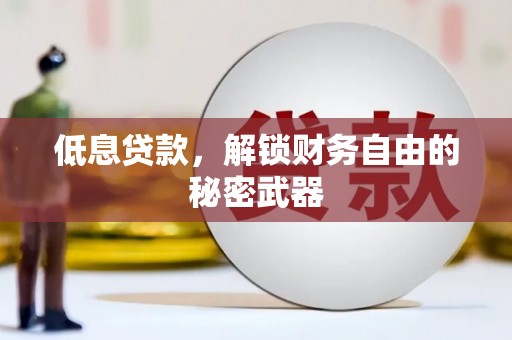 南湖低息贷款，解锁财务自由的秘密武器