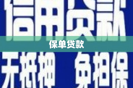 南湖保单贷款