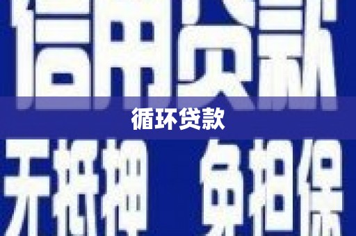南湖循环贷款