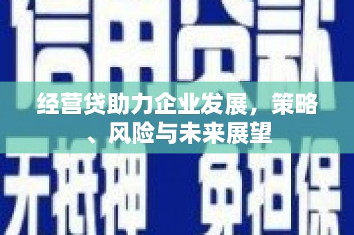 南湖经营贷助力企业发展，策略、风险与未来展望